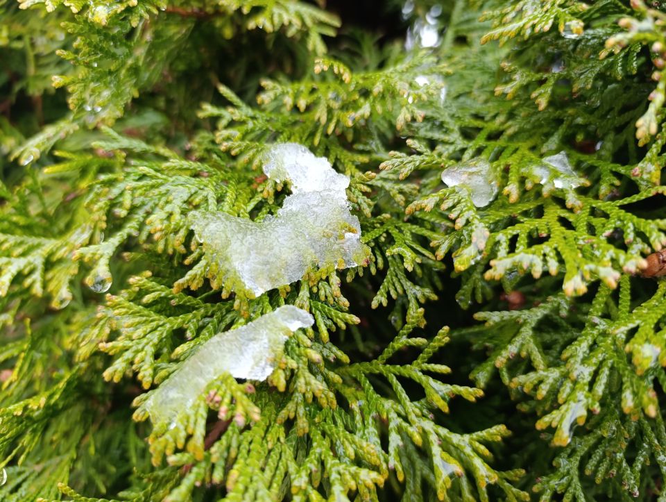 ��� ������ ���������� ���, ��������� ��������� ���� ������� � ����� ����� ����