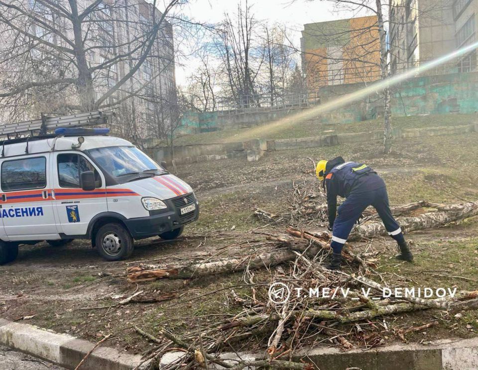 �������� �������: ������������ ������ ����������� ����������� �������� � ���������