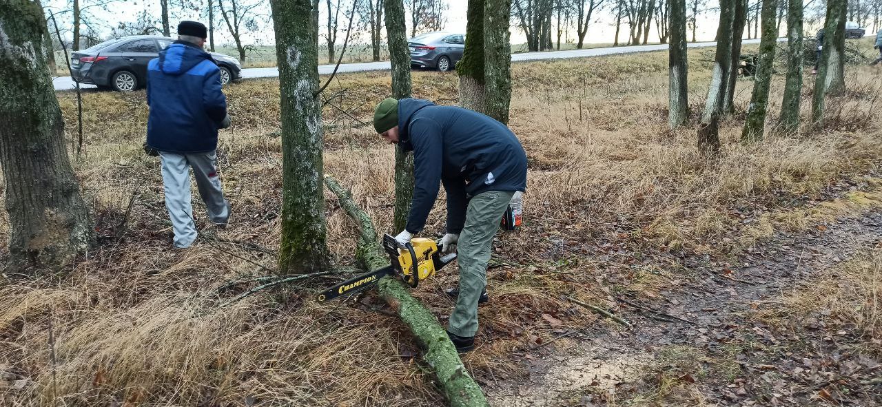 Владимир Переверзев: В Борисовском муниципальном округе продолжается плановая работа по заготовке древесины Владимир Переверзев: В Борисовском муниципальном округе продолжается плановая работа по заготовке древесины