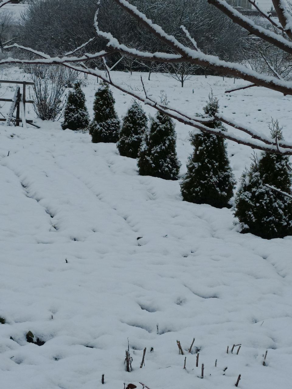 Галина Руденко: Благодаря социальному контракту мечта жительницы Казацкого о собственном питомнике воплотится в жизнь Галина Руденко: Благодаря социальному контракту мечта жительницы Казацкого о собственном питомнике воплотится в жизнь