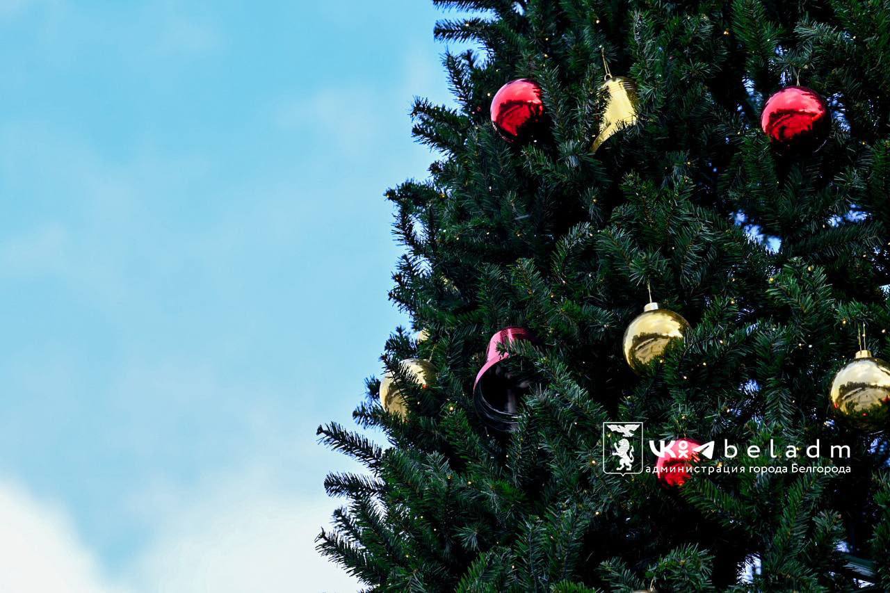 В Белгороде ещё одна новогодняя красавица скоро приобретёт праздничный вид В Белгороде ещё одна новогодняя красавица скоро приобретёт праздничный вид