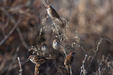 Погода 14 декабря. Сегодня синоптики обещают пасмурную погоду