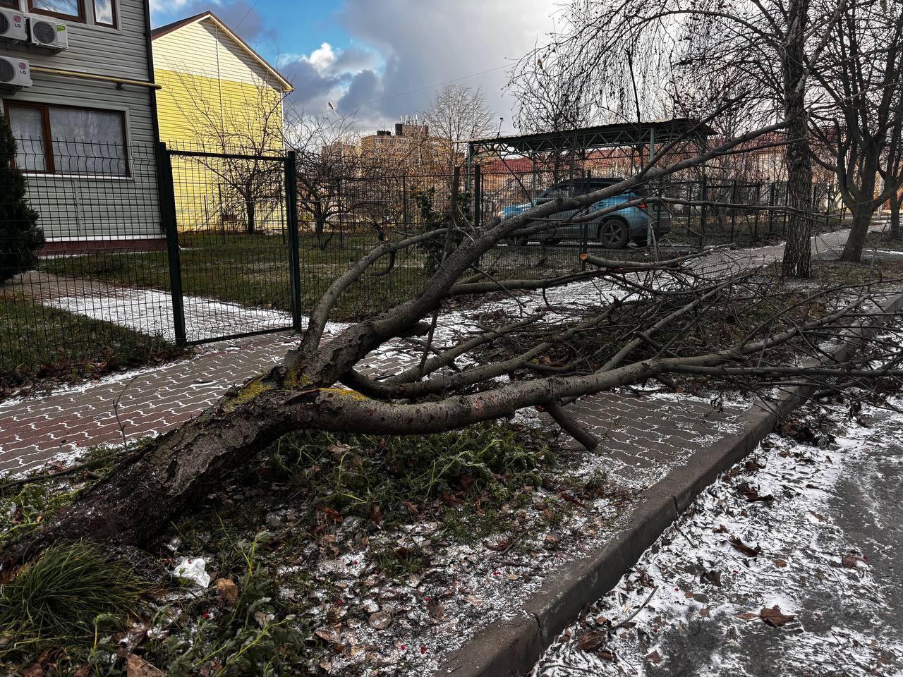 «Белгорблагоустройство» работает в режиме постоянной готовности, без привязки к времени суток или выходным дням «Белгорблагоустройство» работает в режиме постоянной готовности, без привязки к времени суток или выходным дням