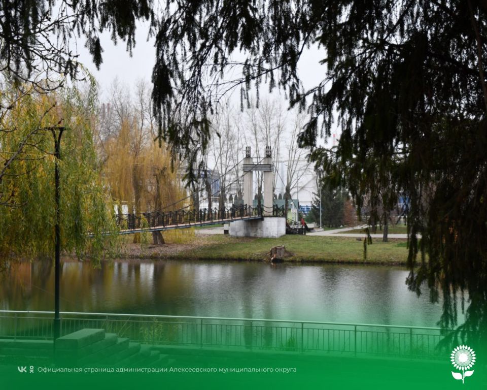 14 �������. ����������� ������� -5�C, �������, ��� �������