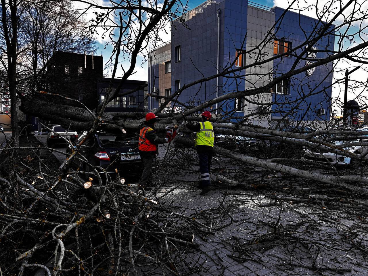 «Белгорблагоустройство» работает в режиме постоянной готовности, без привязки к времени суток или выходным дням «Белгорблагоустройство» работает в режиме постоянной готовности, без привязки к времени суток или выходным дням