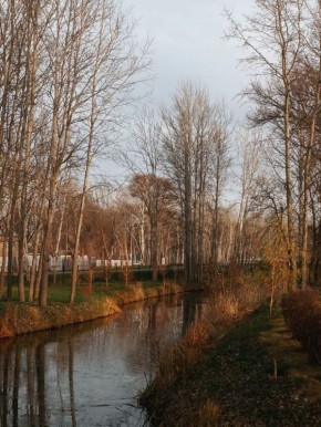 Сегодня, 14 декабря, в Белгороде будет облачно