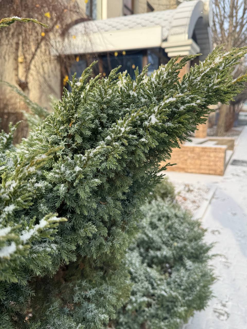 Серебристый снег укутывает Белгород Серебристый снег укутывает Белгород