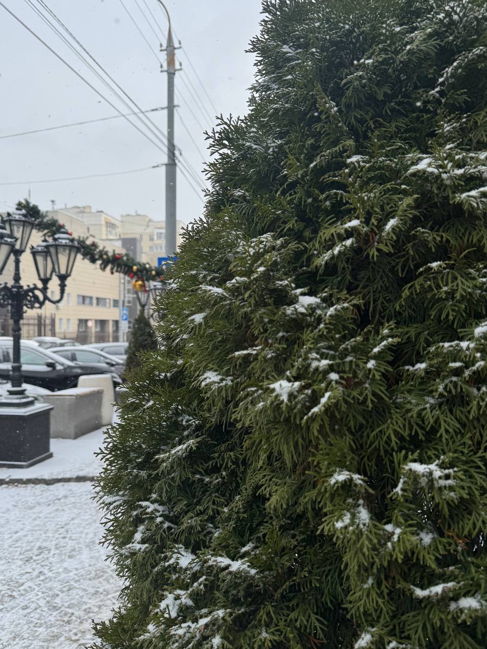 Серебристый снег укутывает Белгород Серебристый снег укутывает Белгород