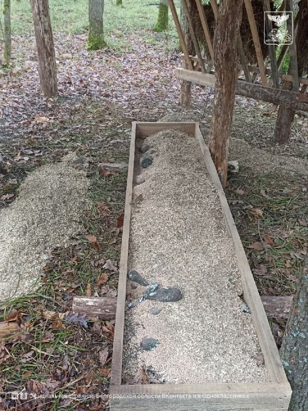 В государственном природном заказнике «Мандровский» в Белгородской области обустроена новая подкормочная площадка В государственном природном заказнике «Мандровский» в Белгородской области обустроена новая подкормочная площадка