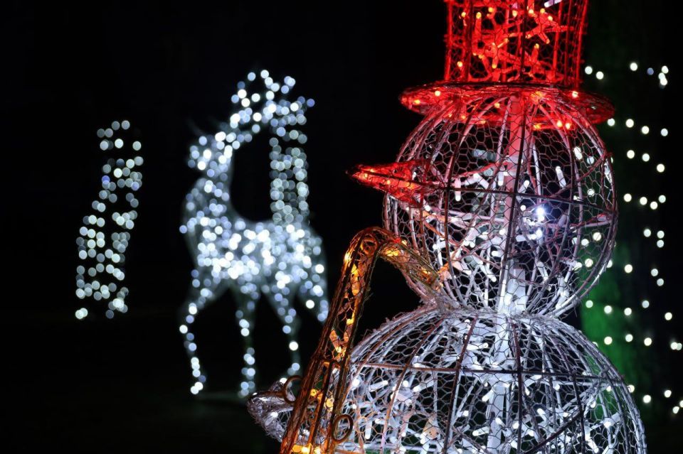 ������ �������: ��������� ���������, ������ ��������� ��������� ������, ������� ������������� �� ����������� ��������� ������������� � ���������� ������������ �������������� ������: