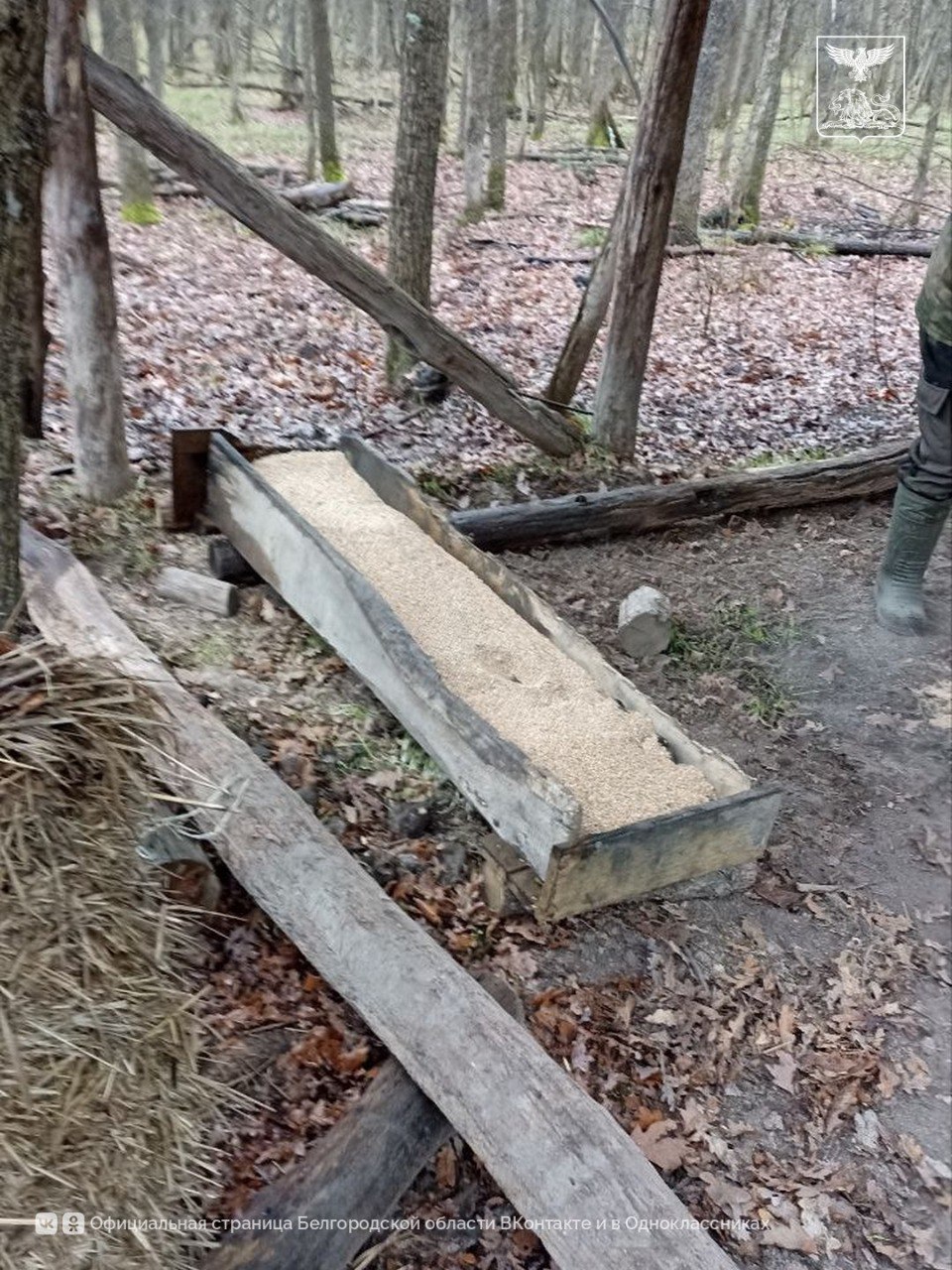 В государственном природном заказнике «Мандровский» в Белгородской области обустроена новая подкормочная площадка В государственном природном заказнике «Мандровский» в Белгородской области обустроена новая подкормочная площадка