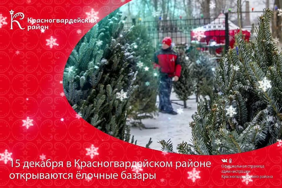 15 ������� � ����������������� ������ ���������� ������� ������