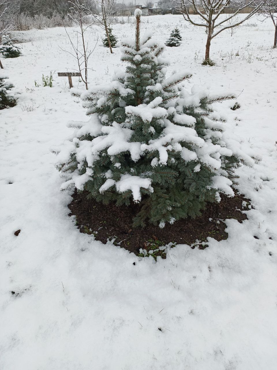 Благодаря социальному контракту мечта жительницы Казацкого о собственном питомнике воплотится в жизнь Благодаря социальному контракту мечта жительницы Казацкого о собственном питомнике воплотится в жизнь