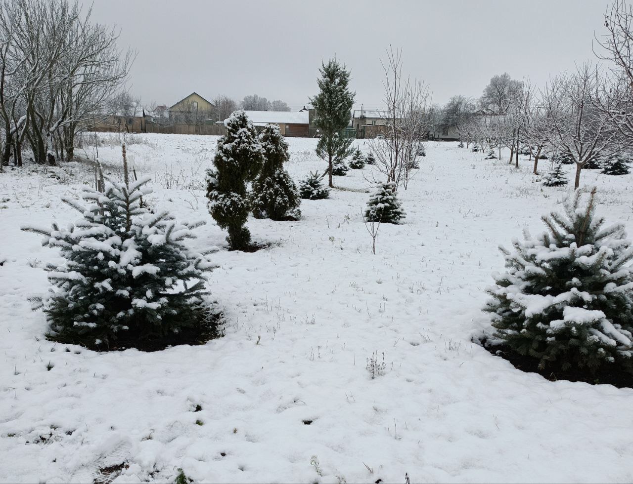 Благодаря социальному контракту мечта жительницы Казацкого о собственном питомнике воплотится в жизнь Благодаря социальному контракту мечта жительницы Казацкого о собственном питомнике воплотится в жизнь