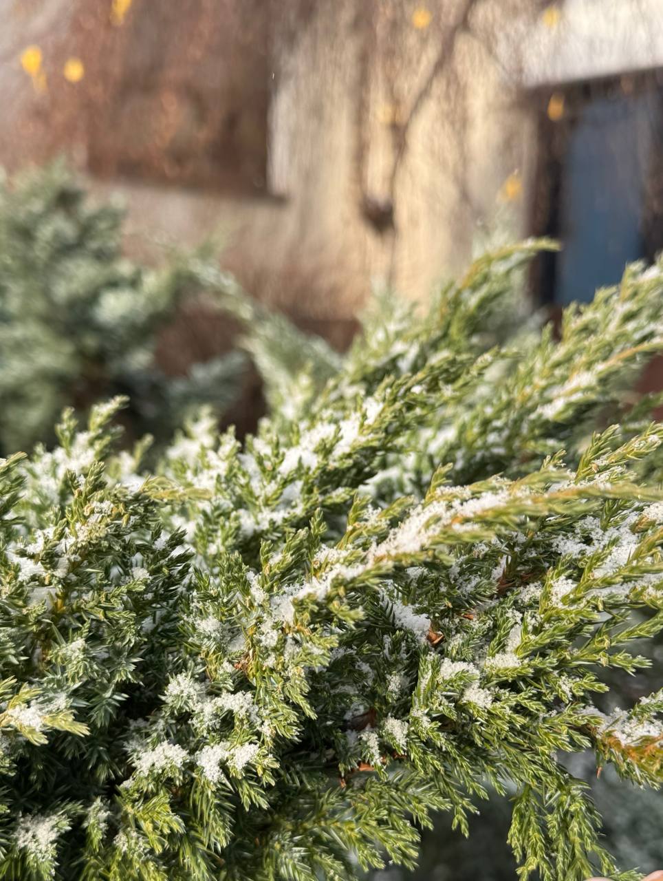 Серебристый снег укутывает Белгород Серебристый снег укутывает Белгород