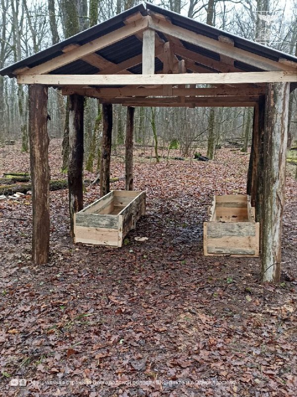 В государственном природном заказнике «Мандровский» в Белгородской области обустроена новая подкормочная площадка В государственном природном заказнике «Мандровский» в Белгородской области обустроена новая подкормочная площадка