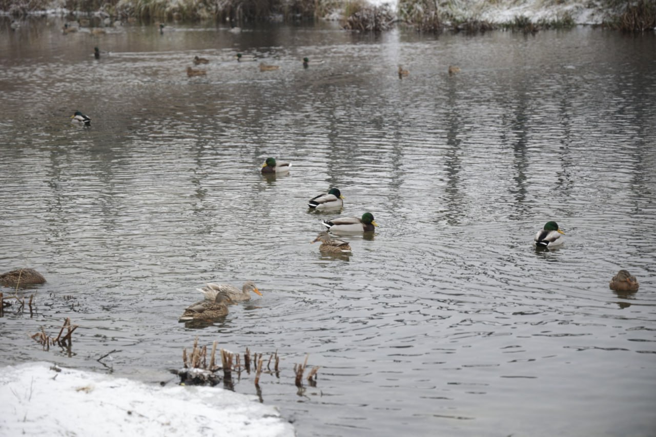 Михаил Лобазнов: Вячеслав Владимирович побывал на территории пляжа Юность Михаил Лобазнов: Вячеслав Владимирович побывал на территории пляжа Юность
