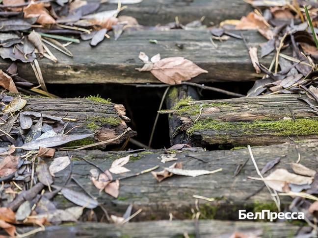 «К нам даже почту не носят, потому что почтальоны не хотят по этим тропам ходить. А если случится что со мной или женой, никакой врач сюда не дойдёт» «К нам даже почту не носят, потому что почтальоны не хотят по этим тропам ходить. А если случится что со мной или женой, никакой врач сюда не дойдёт»