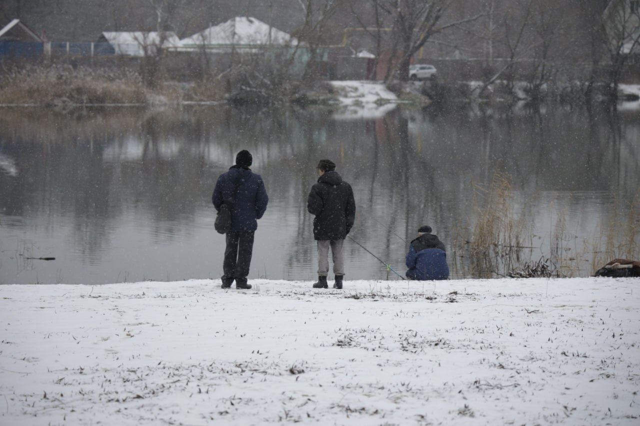 Михаил Лобазнов: Вячеслав Владимирович побывал на территории пляжа Юность Михаил Лобазнов: Вячеслав Владимирович побывал на территории пляжа Юность