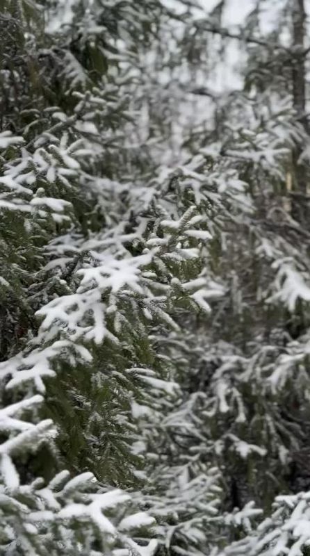 ������ ����, ������� �����!