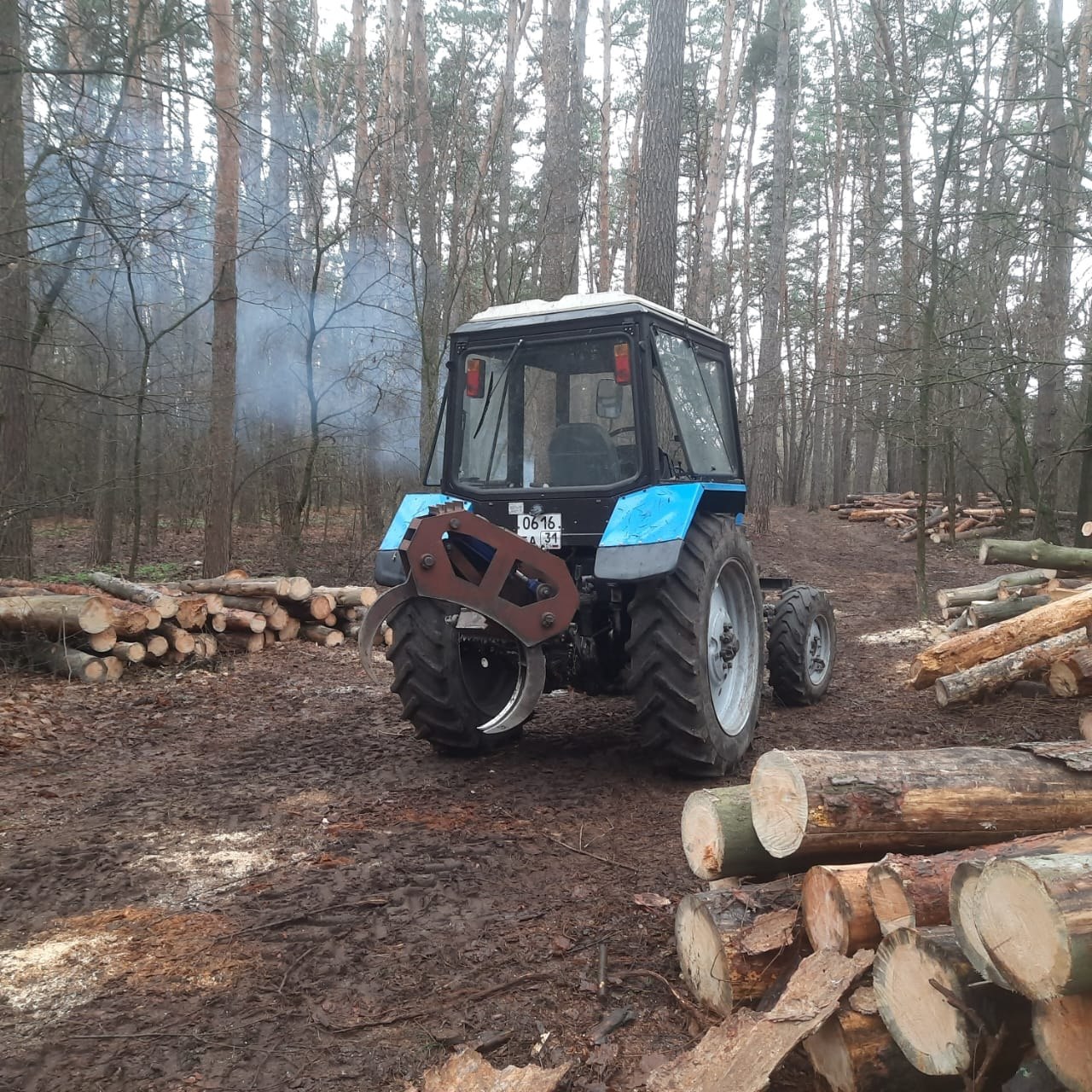 В Грайворонском округе проведены выборочные санитарные рубки В Грайворонском округе проведены выборочные санитарные рубки