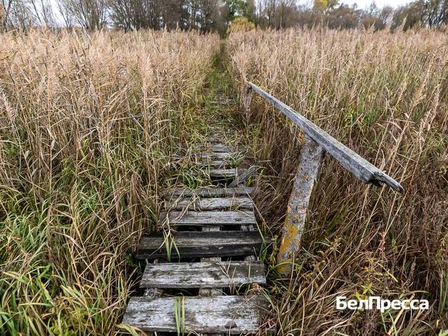«К нам даже почту не носят, потому что почтальоны не хотят по этим тропам ходить. А если случится что со мной или женой, никакой врач сюда не дойдёт» «К нам даже почту не носят, потому что почтальоны не хотят по этим тропам ходить. А если случится что со мной или женой, никакой врач сюда не дойдёт»