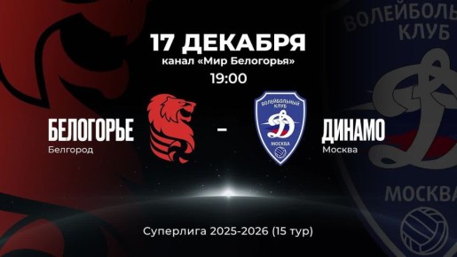 «Белогорье» против «Динамо»