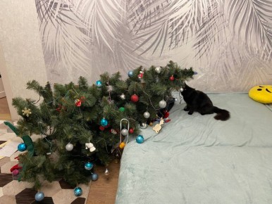 �, �������, ��� �� �� ������ ��� ������� ���������� ����������� ����������!