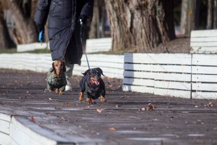 ������ 17 �������. ������� ��������� ������� ��������� ������