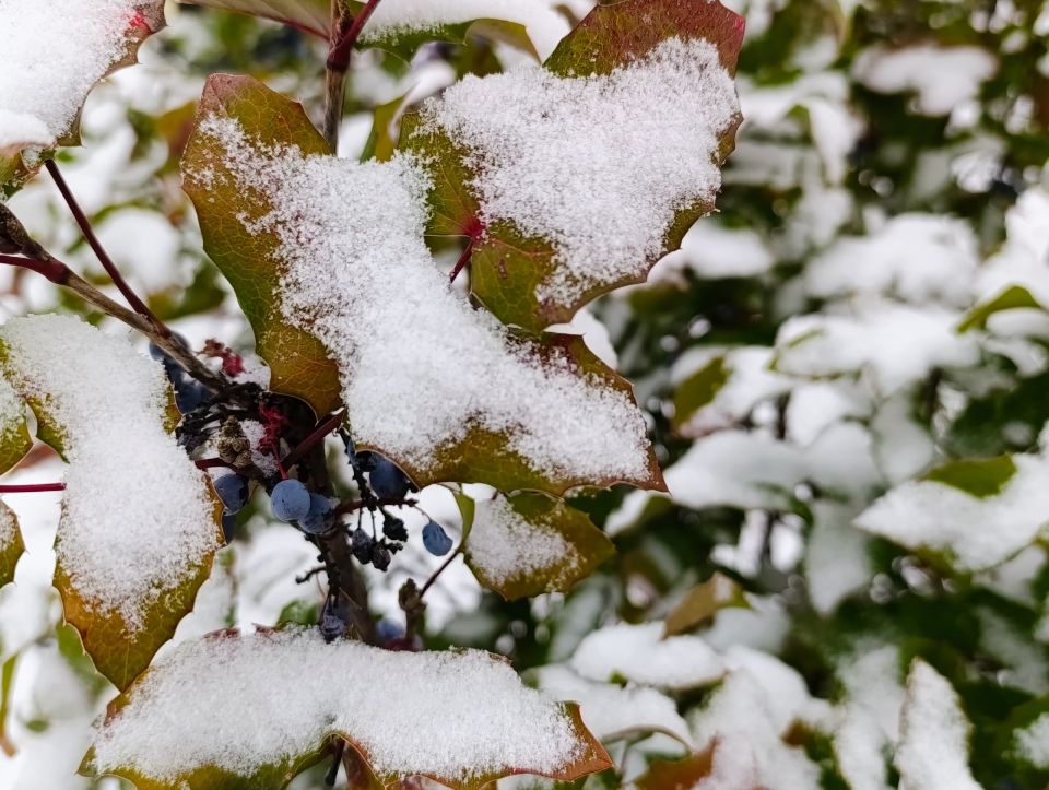 ���� � ��� �� ������ �����, ��� ��������� ����, ������� ����� ������� ������ ������� � ������������� �������