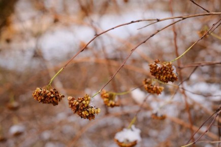 �������, 17 �������, ����� �������� � ������������ ������