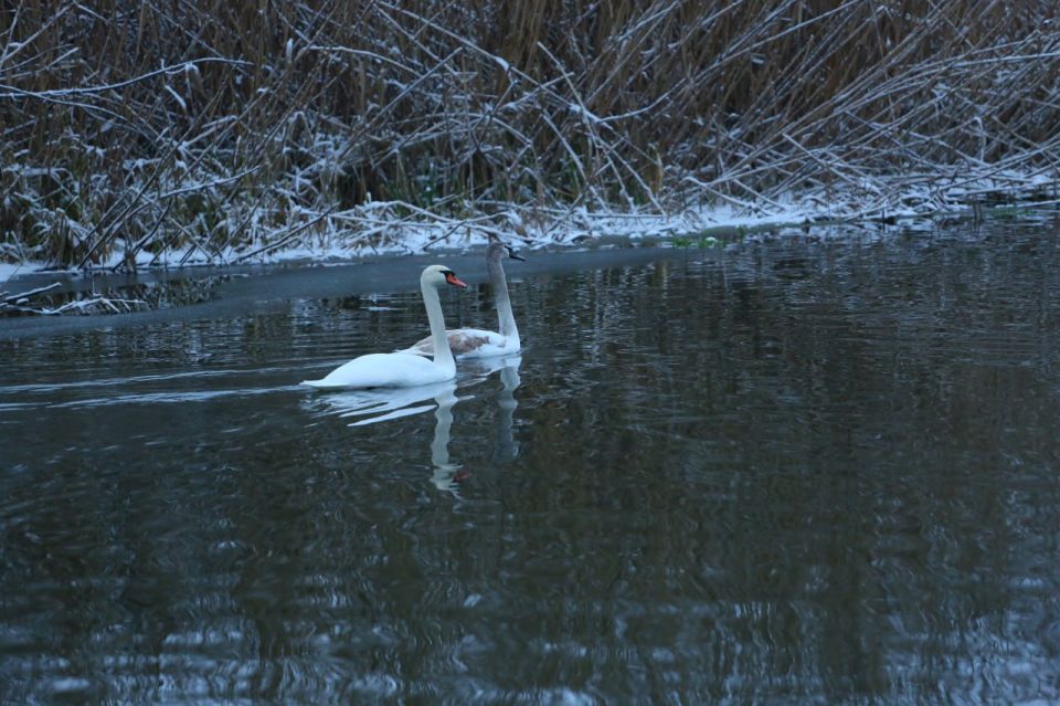 �������� ������ ������� ������ �� ������������ ������ ������