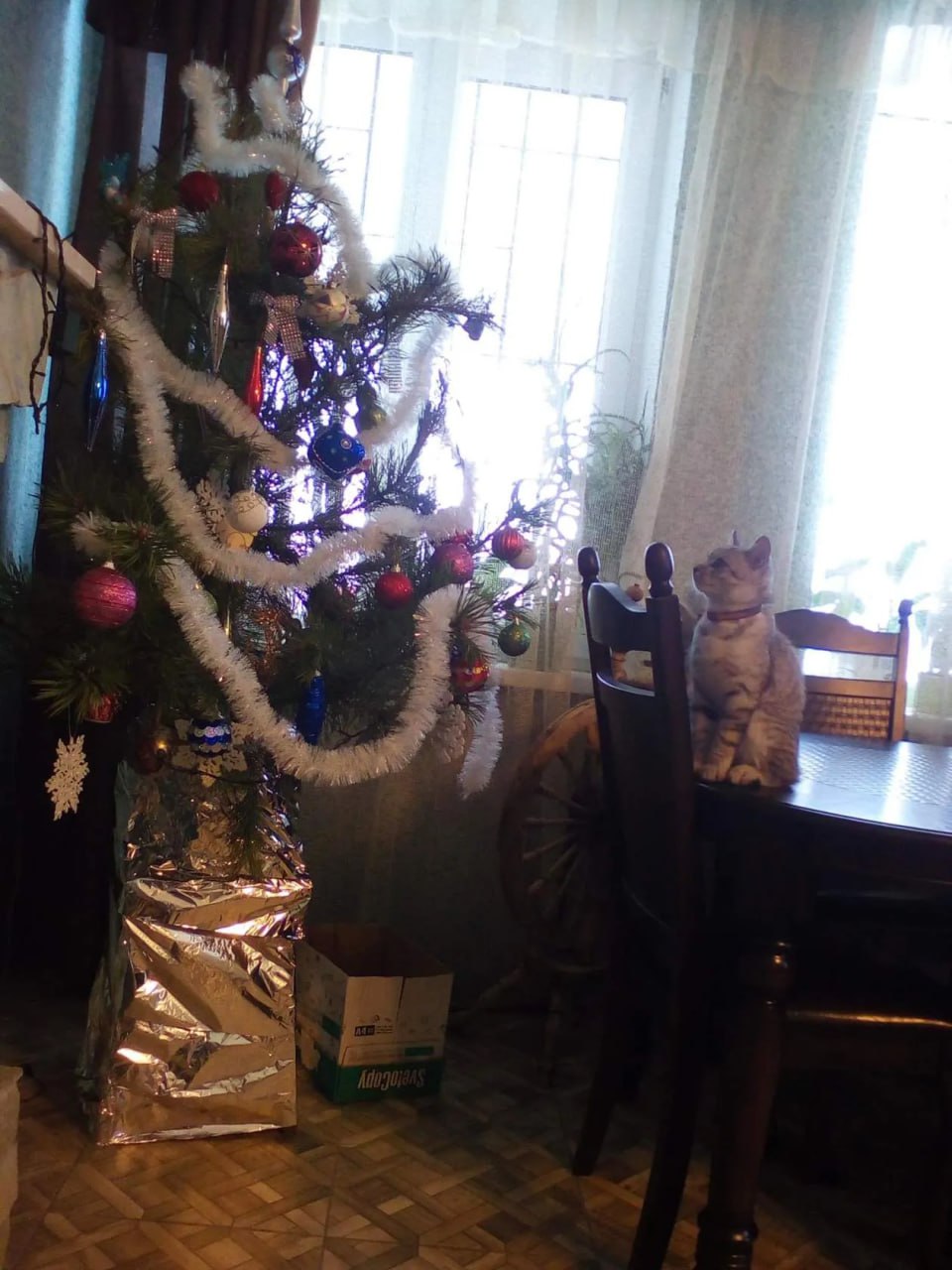 И, конечно, как же мы забыли про главных создателей новогоднего настроения! И, конечно, как же мы забыли про главных создателей новогоднего настроения!