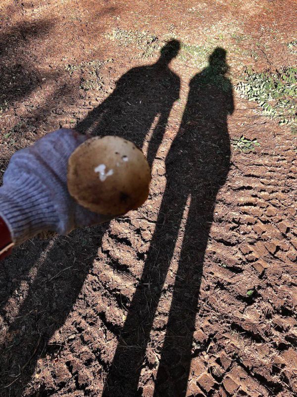 ������������� �� � �*** � ������� 2022 ���� � �������� ����� ��� ����������