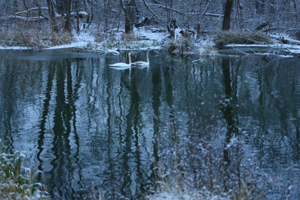 � ������ �����, ������!. ������ ��� ������� ��� � ��������� ���������� ����� ���� ���������� ���� � ��������� �������