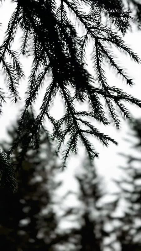 ������ ����, �����. ����� ������� �� ����� �� ��������� �� ������� ����� ������! ��� ����� � ���