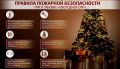 Уважаемые жители Вейделевского муниципального округа! Впереди нас ждут новогодние праздники, а значит, самое время вспомнить о правилах пожарной безопасности при использовании ёлки и новогодних украшений
