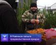 Татьяна Киричкова: В Ровеньках прошла продовольственная ярмарка