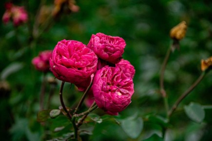 Погода 20 декабря. Сегодня синоптики обещают облачную погоду