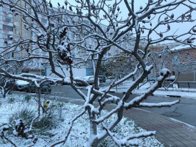 ������ ����, ��������!. ��������� ������� ��� �� �2 �������� � ������� ��� � ������ ����� ������ �����������