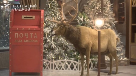 В Белгороде в парке Ленина открылось главное отделение новогодней почты