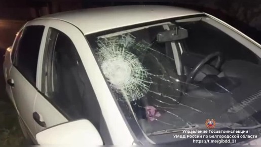 #������_���. �� ��������������� ������, ����� � 17 ����� 20 ����� ��. �������� �. �������� ������������� ������ 22-������ ��������, �������� ����������� ����� ������, �������� ����� �� 17-������� ���������, ������� ��������...