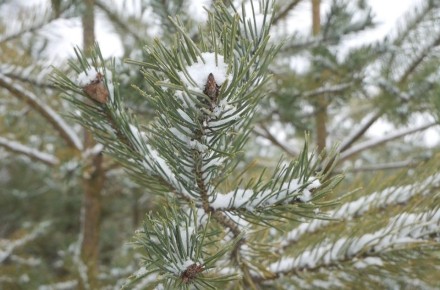 �������, 21 �������, ����� �������� � ������������ ������