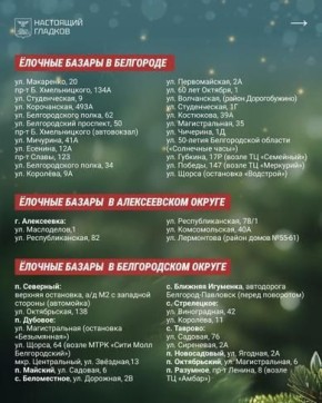 ��� ������������� ������� ������ ����?