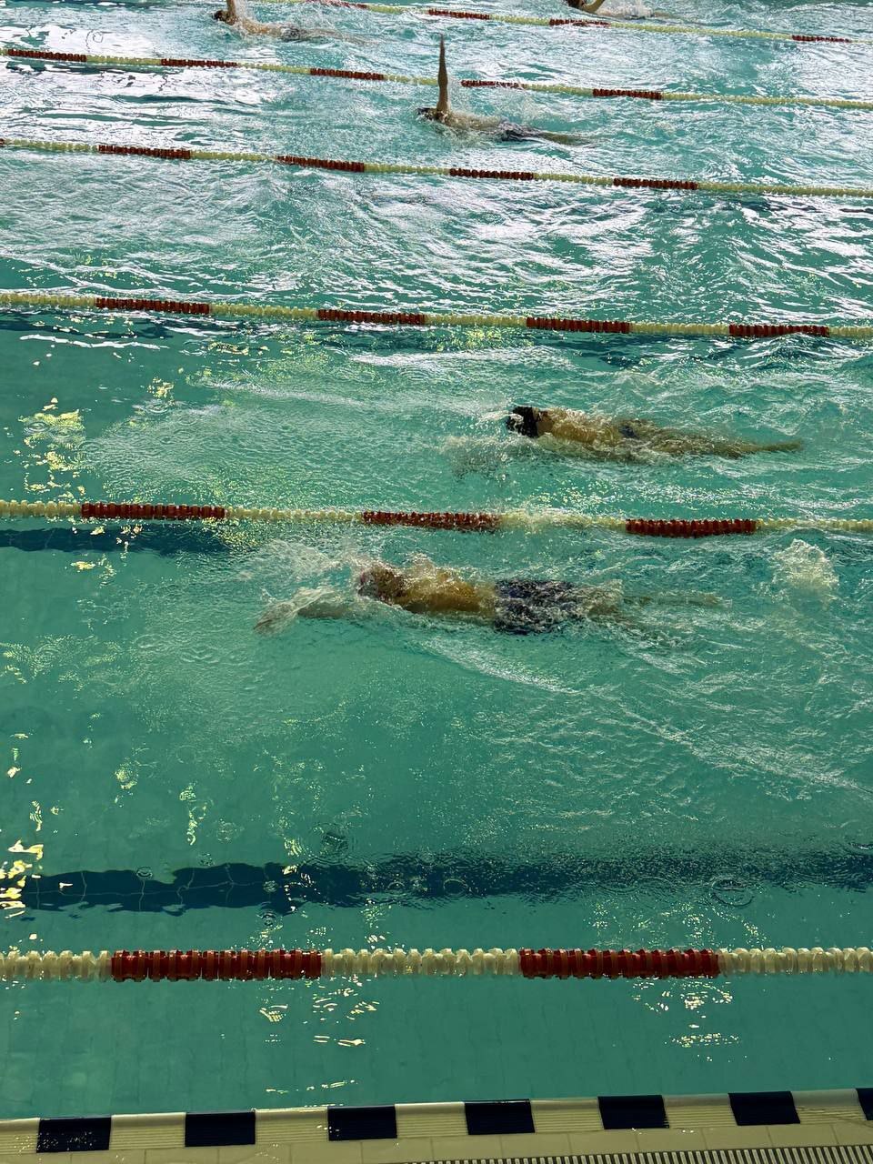 Гордимся нашими спортсменами! Гордимся нашими спортсменами!