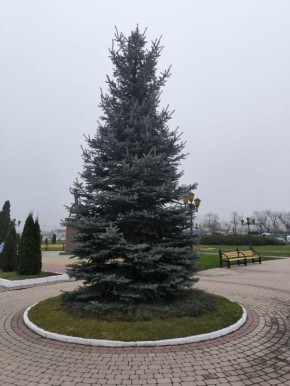 ������ ����, ��������!. �� 21 ������� ��������� ������� �������� ���� � �1 ������