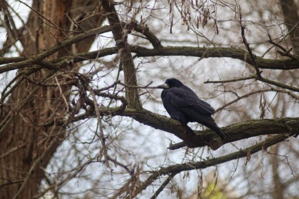 ������ 23 �������. ������� ��������� ������� ��������� ������