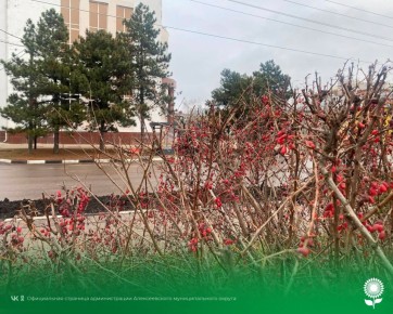 23 �������. ����������� ������� -1�C, �������, ��������� ����