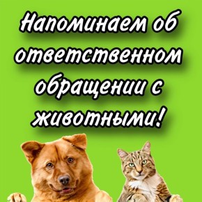 ��������� � ��������� �� ��������� �������������� � ����������