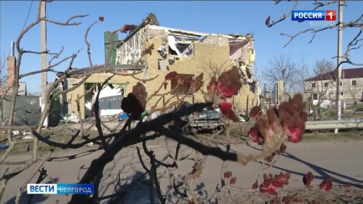 ����������������� ������ � ����������� ������� �� ������������